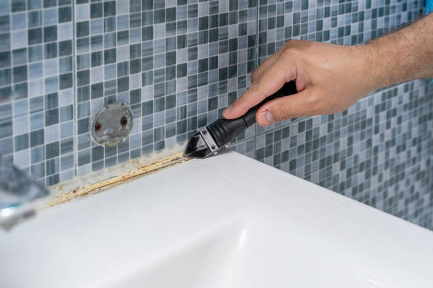 Best Basement Mold Remediation in Grasonville, MD